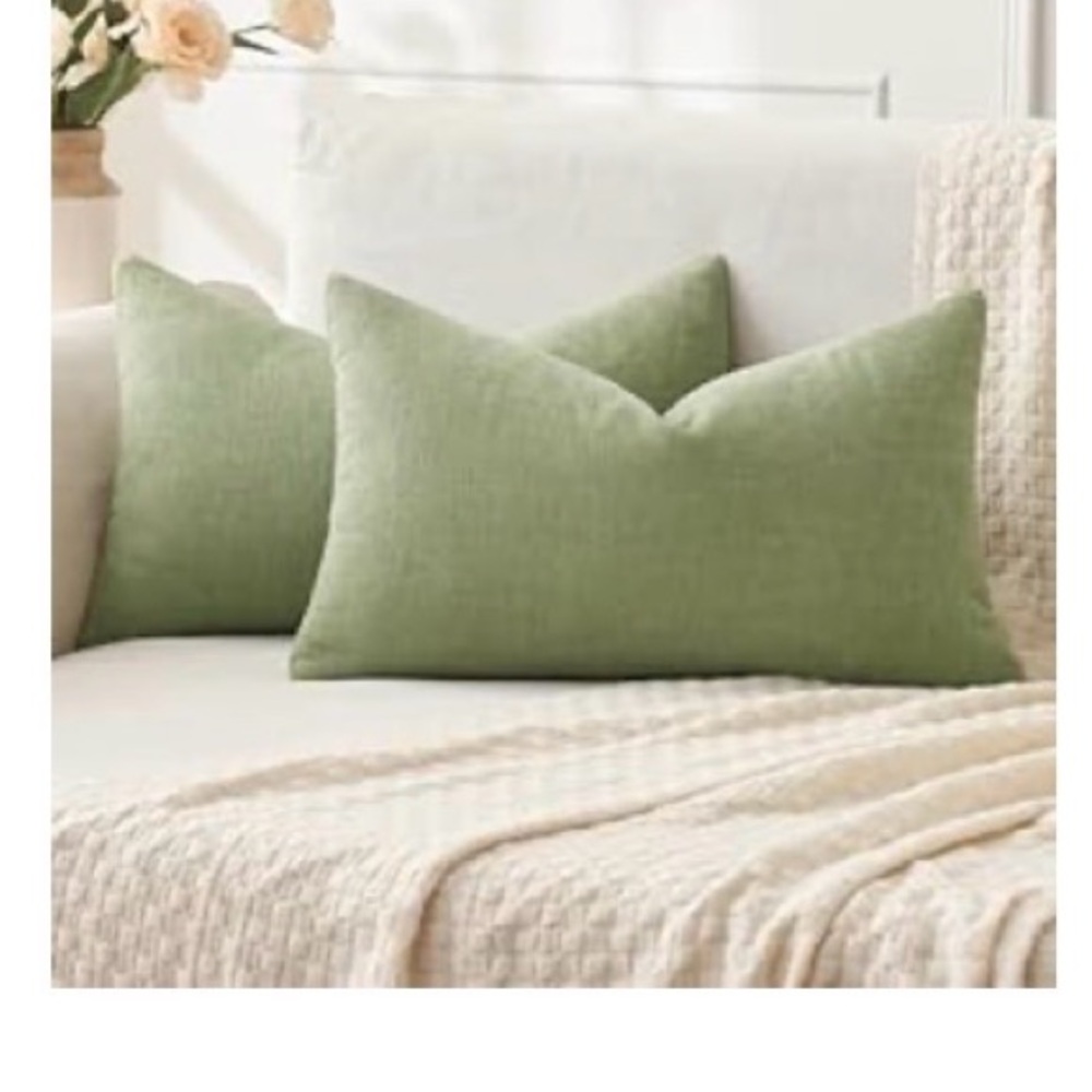 Sage Green set of 2 Throw Pillow Covers